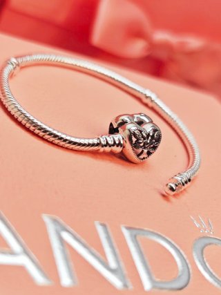 Pulsera Pandora Ale 17 centímetros family envio