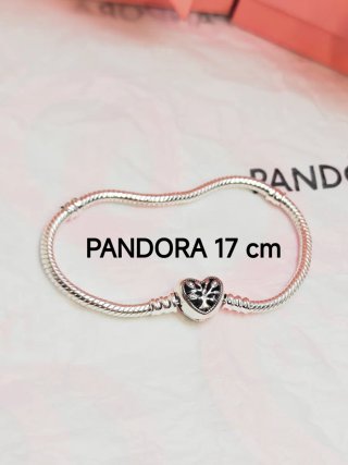 Pulsera Pandora Ale 17 centímetros family envio