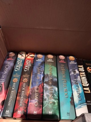 Lote libros Percy Jackson Harry Potter y más