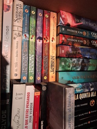 Lote libros Percy Jackson Harry Potter y más