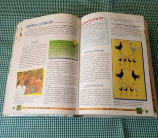 Enciclopedia Escolar Básica Interactiva XXI