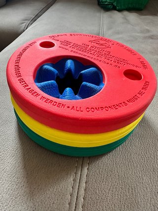 Discos natación Delphin Schwimm-Scheiben