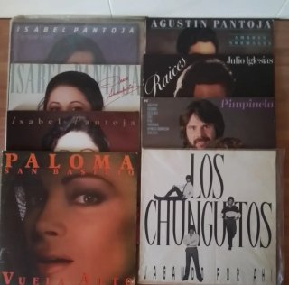 Discos vinilo LPs.