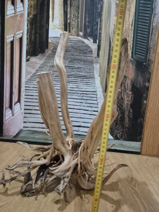 Raices para acuarios