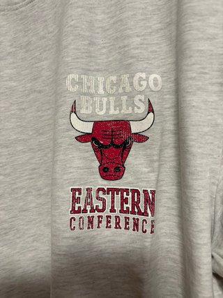 Camiseta chicago bulls