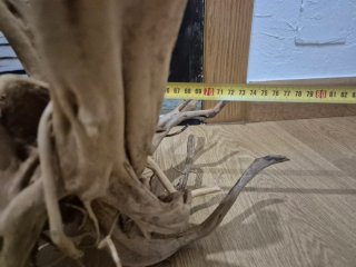 Raices para acuarios