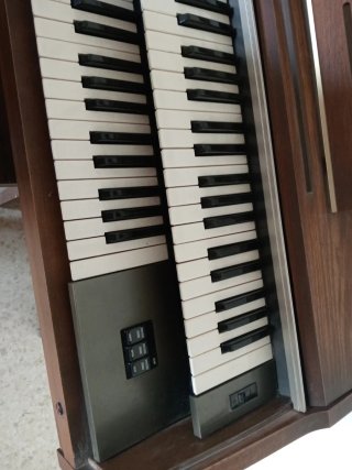 Órgano,yamaha