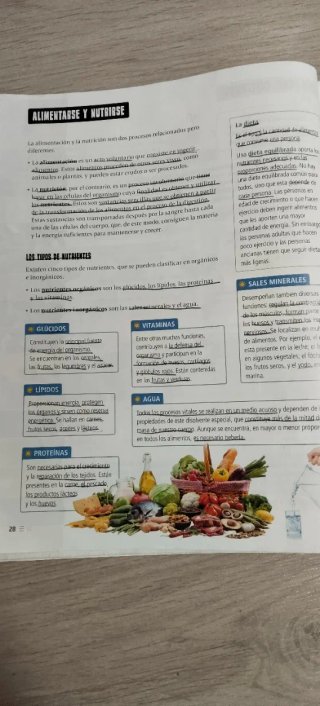Libros texto edelvives fanfest 5° primaria