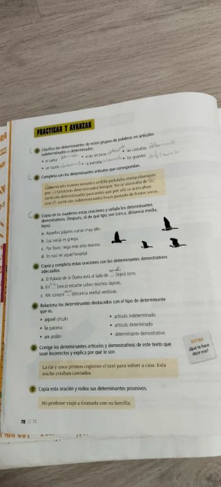 Libros texto edelvives fanfest 5° primaria