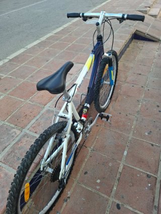 Bici MTB 26