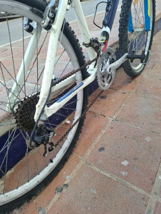 Bici MTB 26