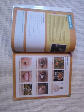 LIBROS 5°PRIMARIA,COLE FRAY LUIS DE LEÓN,Valladoli