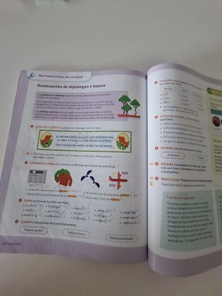 Lengua Castellana, 6 Primaria, Serie Acentos, P...