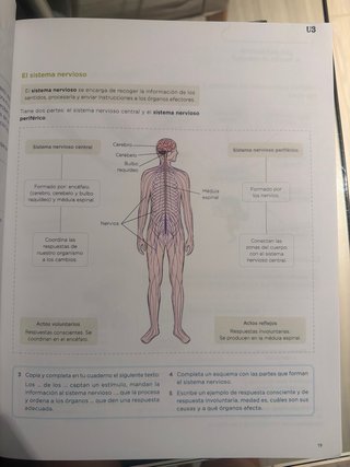 Lo esencial. Ciencias de la Naturaleza 6