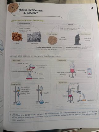 Lo esencial. Ciencias de la Naturaleza 6