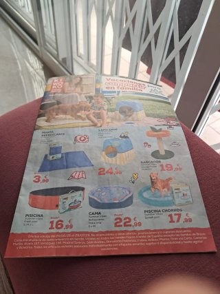 Revista