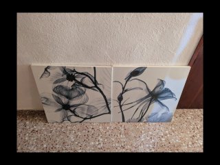 Cuadros con motivos florales