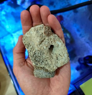 Coralero/Roca Magnética Acuario Marino