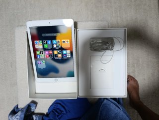 Apple iPad Air 2 Plata