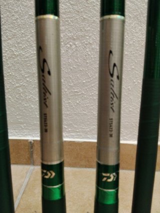 Cañas daiwa saltist 30
