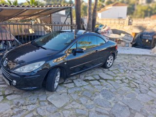 Peugeot 307 2010