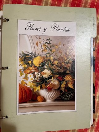 Colección por fascículos con fichas variadas.