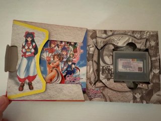 Gals Fighters - NeoGeo Pocket