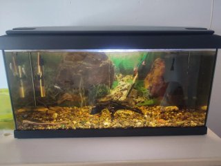 Pecera,acuario 80 litros