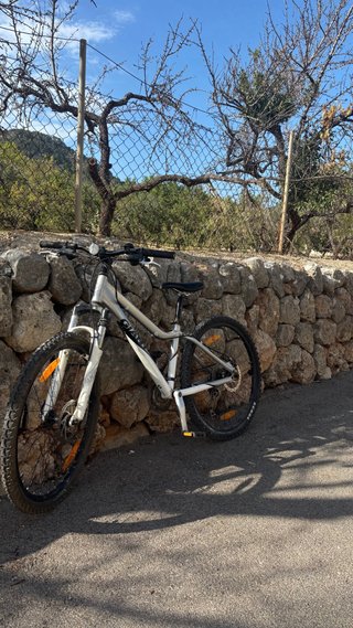 Bicicletta Giant MTB Argento