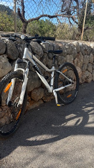 Bicicletta Giant MTB Argento