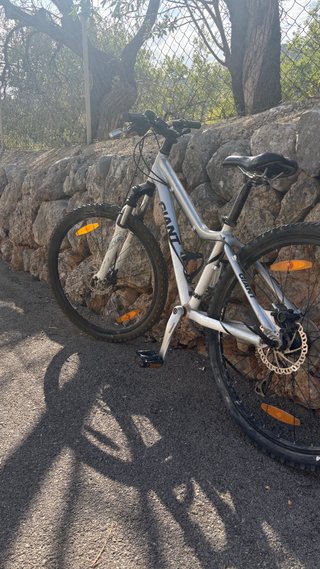 Bicicletta Giant MTB Argento