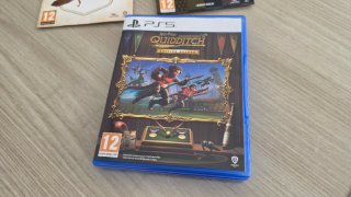 Harry Potter Quidditch Champions
