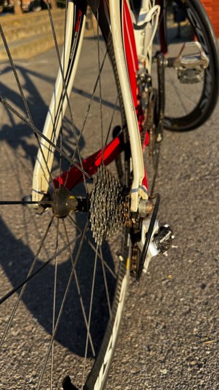 Stevens Crono TT Ultegra + Mavic Cosmic Carbon