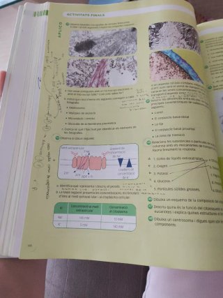 BIOLOGIA 1 BTX CONSTRUINT MONS