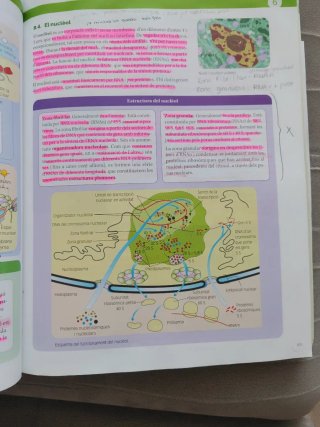 BIOLOGIA 1 BTX CONSTRUINT MONS