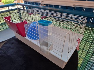 Jaula Cobaya con Accesorios