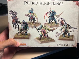 Warhammer putrid blightkings nurgle