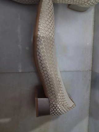 Zapatos Pitillos Beige/Oro Talla 38