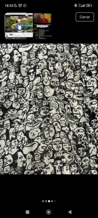 Camisa estampada manga larga