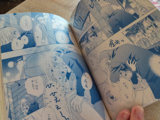 Pack revistas manga japonesas - TL