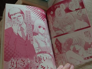 Pack revistas manga japonesas - TL