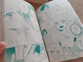 Pack revistas manga japonesas - TL