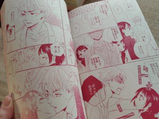 Pack revistas manga japonesas - TL