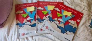 Libros de 5 de primaria