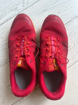 Salomon XA Elevate Trail Running Talla 44