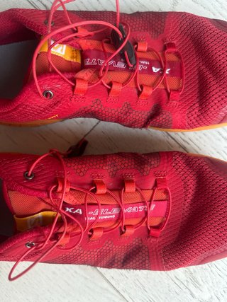 Salomon XA Elevate Trail Running Talla 44