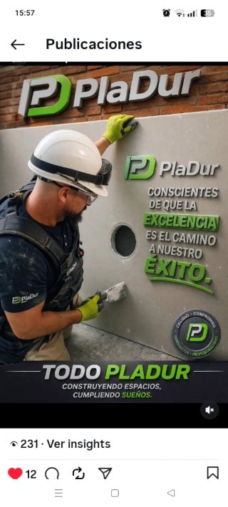 Pladurista