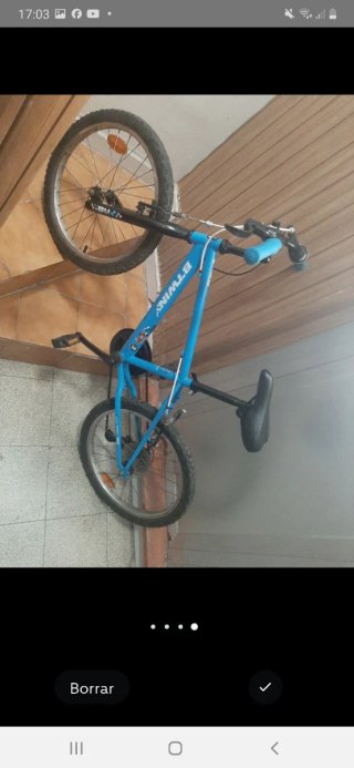 Bicicleta infantil azul
