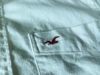 Camisa Hollister Casual Blanca Manga Corta