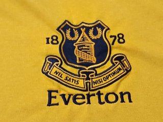 Camiseta Everton FC 2011/12 Visitante